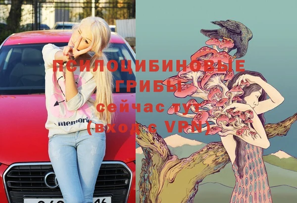 мяу мяу мука Горнозаводск