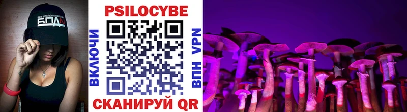 Купить где  Одинцово  Псилоцибиновые грибы Magic Shrooms 